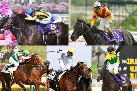 2014 馬|2014年の日本競馬